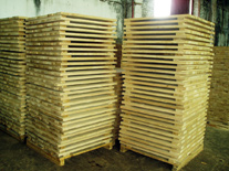Oak staves for barrels